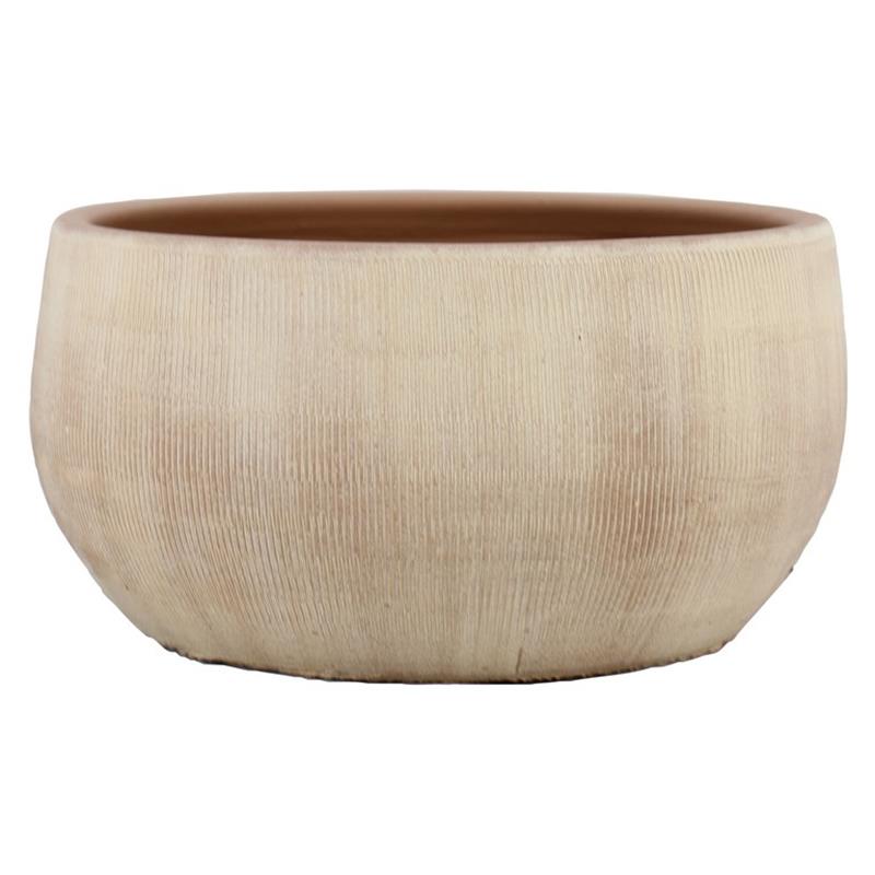 Coupe Abby d29 h14cm saumon