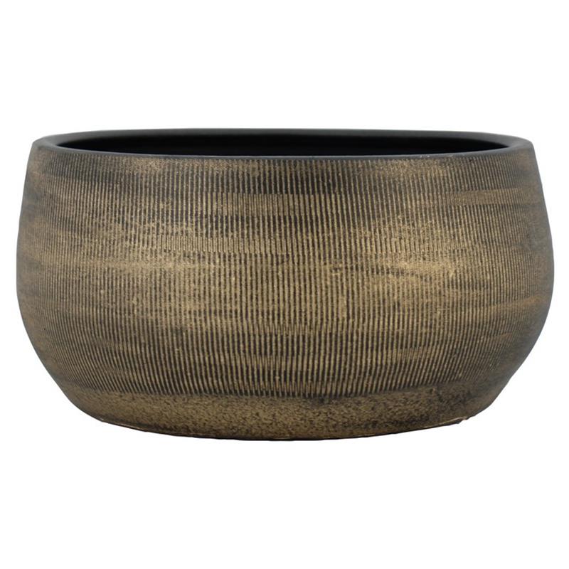 Coupe Abby d29 h14cm or