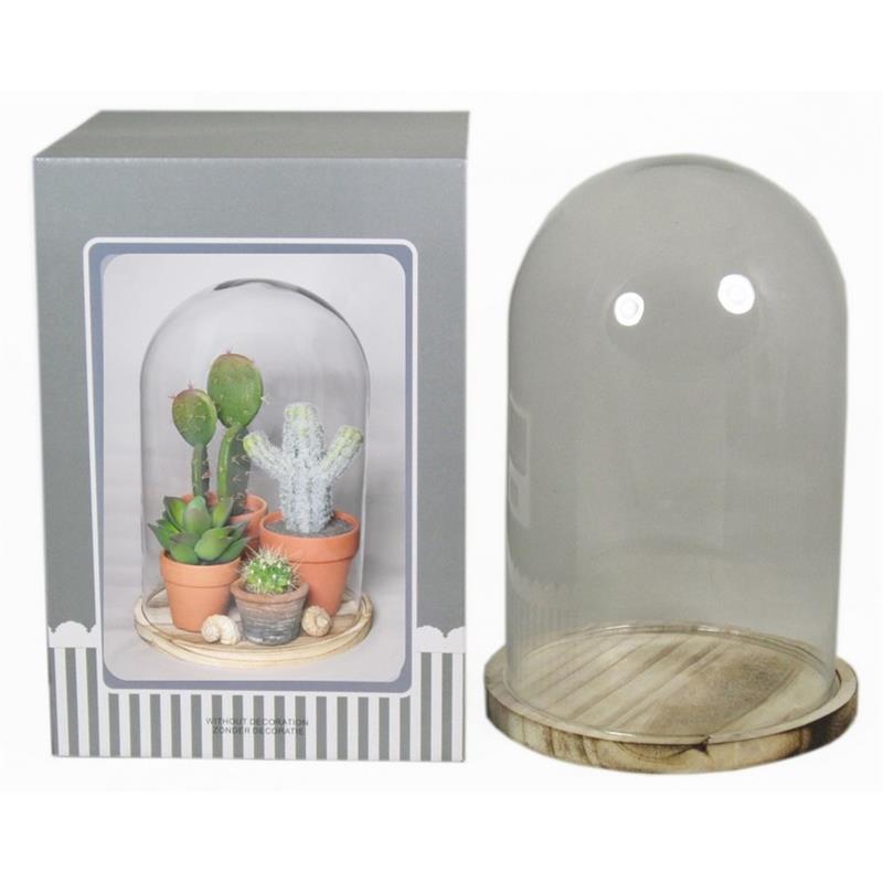 Cloche sur plateau en bois d15/17.5 h24/25cm (carton displ.)