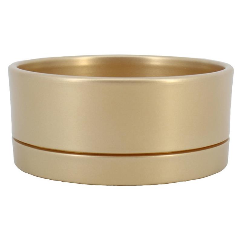 Coupe Lynn d18.5 h9cm or